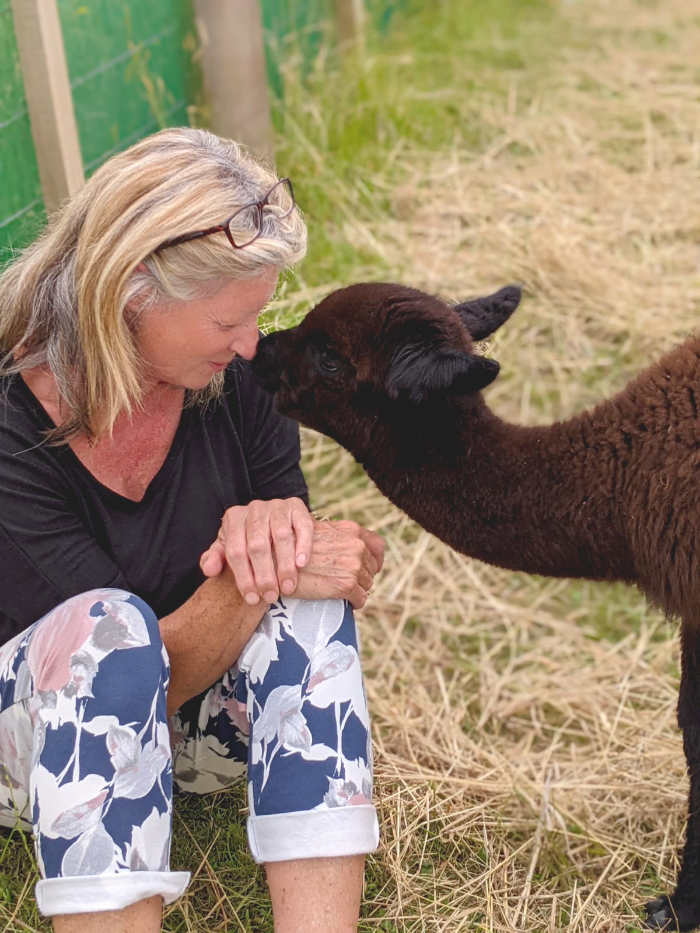 Lisa Geismar, Awesome Alpacas New Zealand